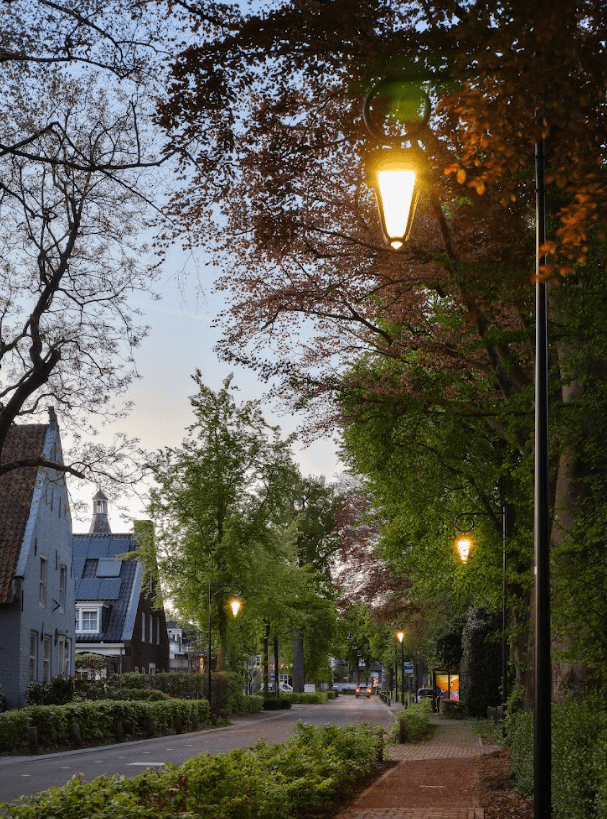 Openbare-buitenverlichting-Dongen